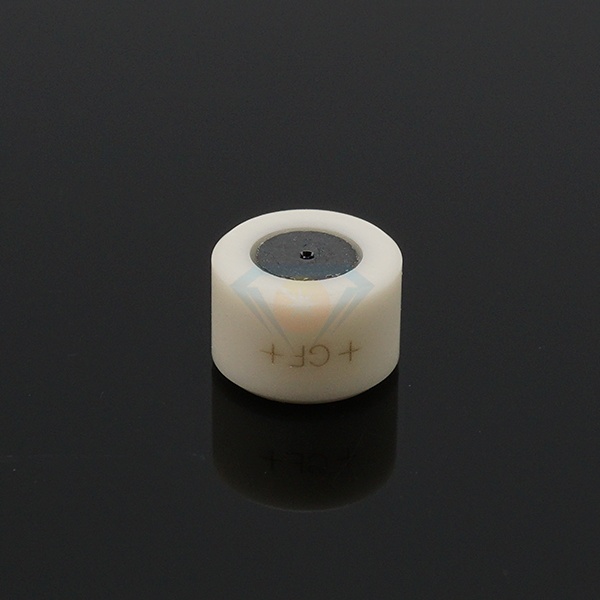 C101 Charmilles diamond wire Guide